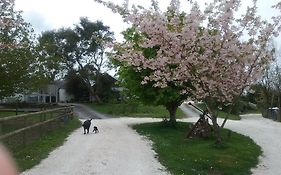 The Swallows Guest House